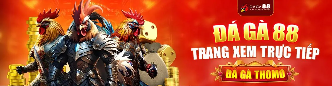 Hướng Dẫn Toàn Diện Cho Người Mới Bắt Đầu Tại king79